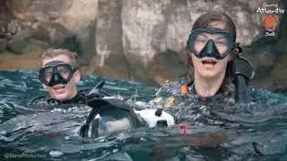 Nusa Penida after Reopening
