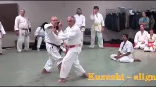OrleansClinic11 28 2015 mp4   Google Drive