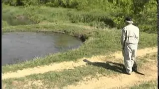 Training Retriever Puppies -  Water drills- Cut the Corner - Re-Entry Water work
