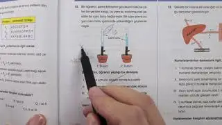 Hayırlı sahurlar. @tariklafizik  hocama selam kaliteli sorular &ccedil;&ouml;zmeye devam. Bitki biyolojisi