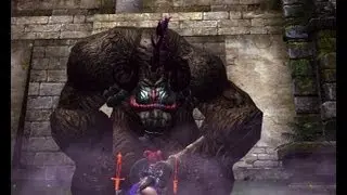 Tera Online / Lancer Vs Direpaw Mandrill