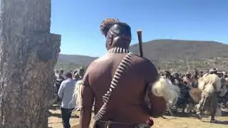 Misuzulu Shaka Zulu | eSibayeni Kwakhangela sengathi ibutho luka Shaka Zulu #misuzulu #kingmisuzulu