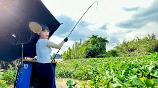Thử Thách Làm Món Ăn 0 Đồng Từ Cá Câu Được | Món Này Ăn Đúng Là Ngon Quên Lối Về