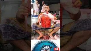 Pangasius Fish Cutting Skills That Hit Different 🔥#USA #EUROPE #fishfilleting #fishbutchering #asmr