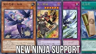 How Good is the New Ninja Support? + Reviewing Every Ninja Card Ever | Yu-Gi-Oh! News 2022