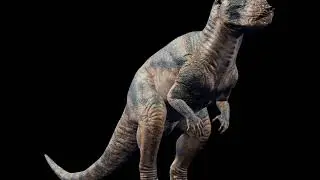 Pachycephalosaurus JWE Sound Effects