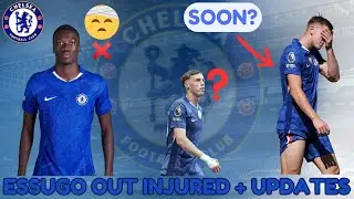 Essugo Injury Blow! Delap Recovery Update! Chelsea News And Updates