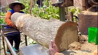 MANTAP‼️Kayu Jati Kebun Bambu-Di Gergaji Mesin Bandsaw Rakitan