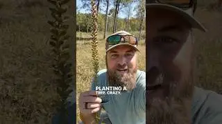 They turned a forest back into a grassland! #conservation #grassland