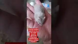 HAYAL DEĞİL GERÇEK ÜRETİM YAPARAK PARA KAZANMAYA BAŞLAYIN HEM DE HOBİNİZ OLSUN