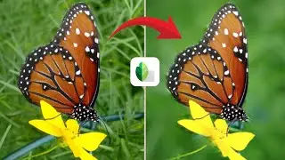 Blur Background Photo Editing in Malayalam |Snapseed Photo Editing |Background Blur