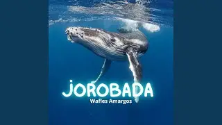 Exclusivos