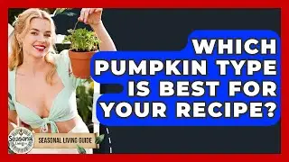 Which Pumpkin Type Is Best For Your Recipe? - Seasonal Living Guide