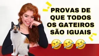 VIDA DE GATEIRO 😍🐈&zwj;⬛ #shorts
