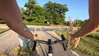 Ride with Dave to Newt the Cat