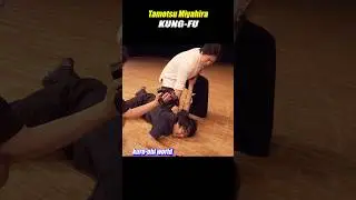 Finger Stun Gun by Kung-fu!