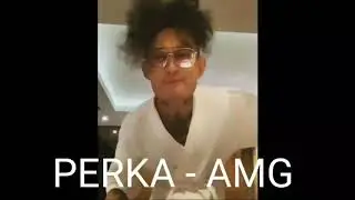 PERKA - ВСЕ СНИППЕТЫ ДЕКАБРЬ 2020