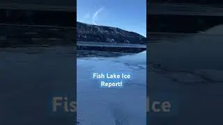 RAPPORT SUR LA GLACE : Lac Fish #p&ecirc;che #pleinair #shorts