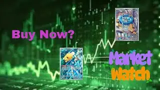 What Products and Cards are a Good Buy Right Now?