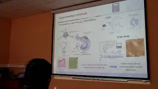 Rashba spin-orbit and exchange coupling in graphene.
