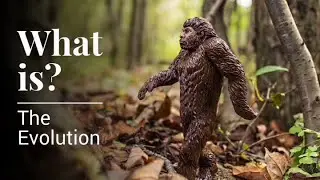 Evolution of The Universe | In 4 minutes |  Mr Explorer