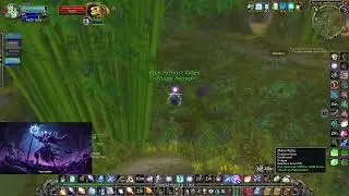 WoW Classic Anniversary Spineshatter EU Zul'Gurub 50-60