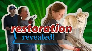 Farm House Restoration | Iowa PBS Express: Transformations