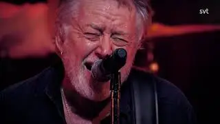 Ulf Lundell   Är vi lyckliga nu