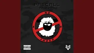 No Sheep