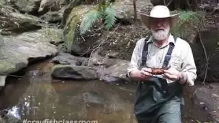 Crayfish Classroom #2