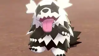 Zigzagoon wants to dance!