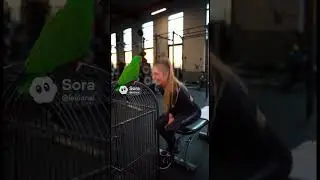 You Won&rsquo;t Believe This Savage Motivation Moment in the Gym #gymmotivation