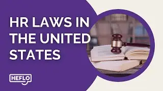 Navigating HR Laws in the United States: Essential Guidelines for Employers and Employees