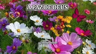 A paz de Deus! IM Meu olhar! #louvores