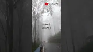 Yercaud Roads Covered in Fog | #shorts #travel #tourism #lifestyle #youtubeshorts #shortsfeed