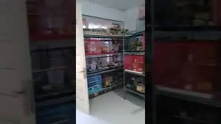 Arga bengbeng