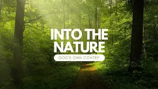 Why Kerala is God's Own Country - Traveling to the Most Beautiful Place in the World