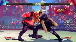 STREET FIGHTER V Sagat vs Birdie