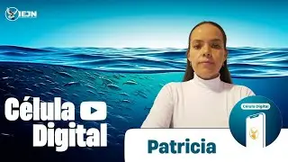 Atraia a Mentalidade do Reino 🔥🔥🔥 - A mudança de realidade começa em nossa mente 