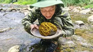 GIANT GOLD ORE EP-12, GOLD UNDER THE TREE ROOTS, GOLD PROSPECTING with EASY TOOLS for BEGINNERS!