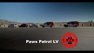 Las Vegas Dog Rescuers vs. Desert Heat: The Dog Rescuers of America 🇺🇸 | Animal Documentary