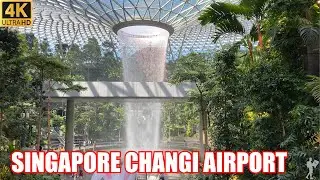 Inside the Changi Airport Singapore | Arrival Scenes