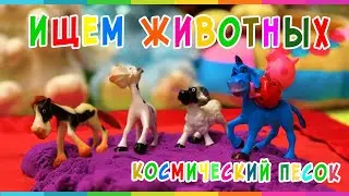Космический песок | Ищем животных | Играем вместе | Space Sand | Let's play together!