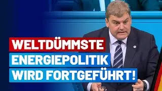 Die dümmste Energiepolitik der Welt wird fortgeführt! - Dr. Rainer Kraft - AfD-Fraktion im Bundestag