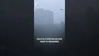 Thick Smog Engulfs Delhi-NCR as AQI Soars Into 