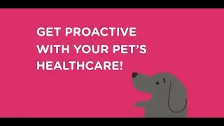Get Proactive With Your Pet's Healthcare! - The Pet Health Club