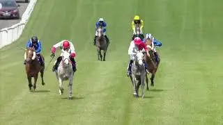 Shadwell Arabian Stallions Novices Stakes