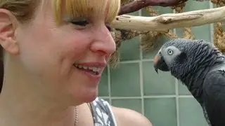 Welcome to our walkin aviary n bird room -2  - Moments to remember ~ 2012