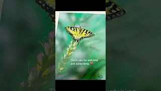 How to mix acrylic paint on canvas. Easy painting ideas for butterflies. Aesthetic #painting  #art