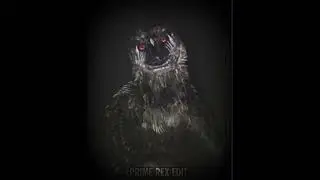 Weird Birds | #edit #weirdbirds #horror #prehistoric #raptors